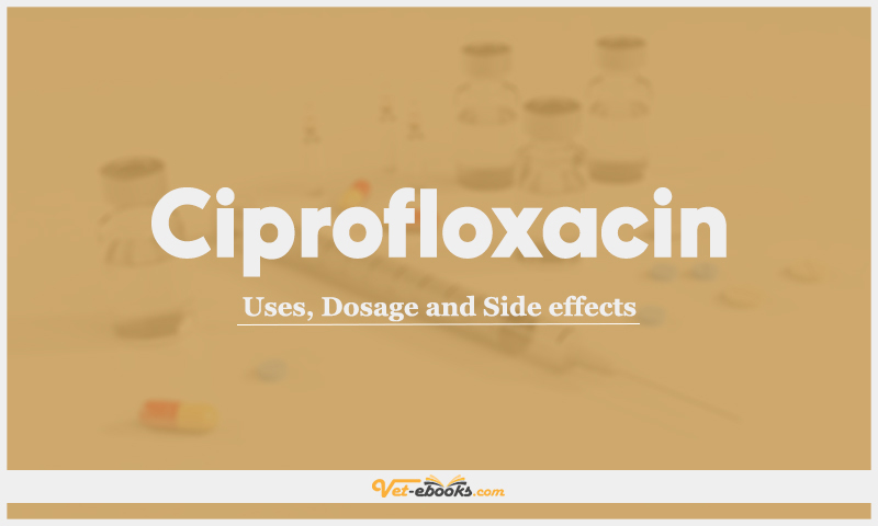 Ciprofloxacin: Uses, Dosage and Side Effects