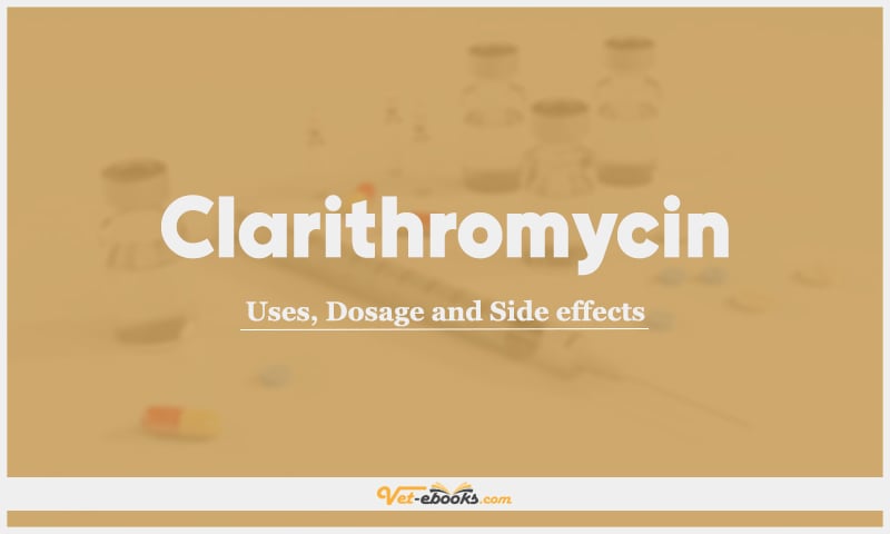 Clarithromycin: Uses, Dosage and Side Effects