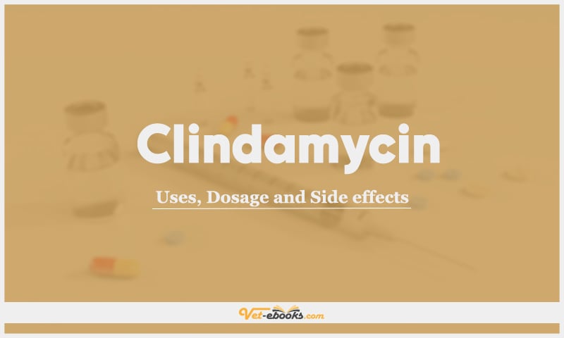 Clindamycin: Uses, Dosage and Side Effects
