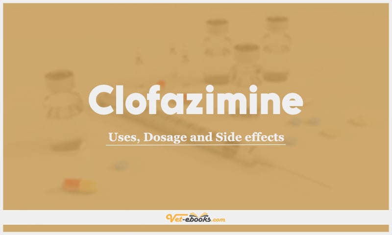 Clofazimine: Uses, Dosage and Side Effects