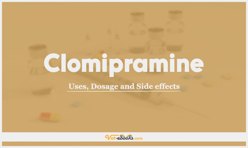 Clomipramine: Uses, Dosage and Side Effects