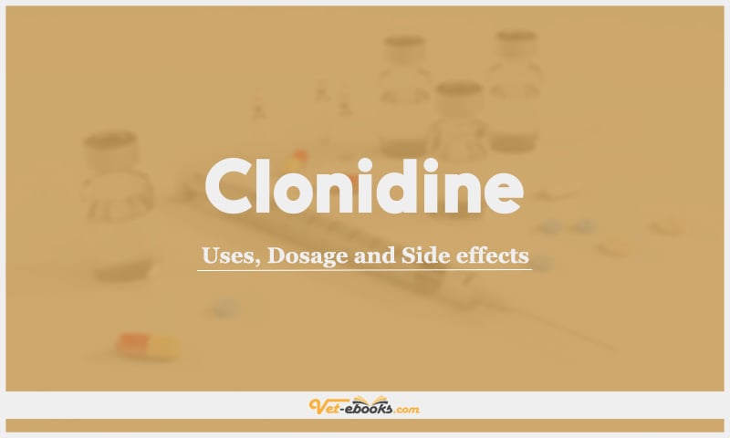 Clonidine: Uses, Dosage and Side Effects