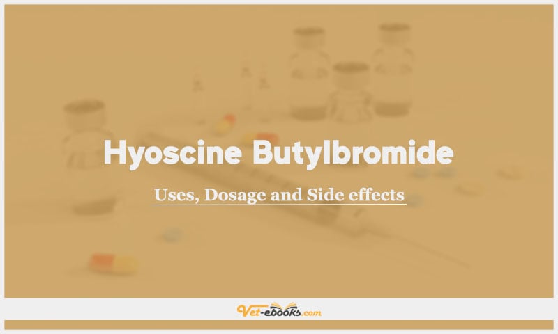 Hyoscine Butylbromide - in Dogs and Cats : Uses, Dosage and Side Effects (Butylscopolamine, N-butylscopolammonium bromide (NBB), Butylscopolamine Bromide)