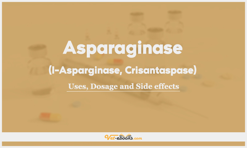 Asparaginase (l-Asparginase, Crisantaspase) : Uses, Dosage and Side Effects