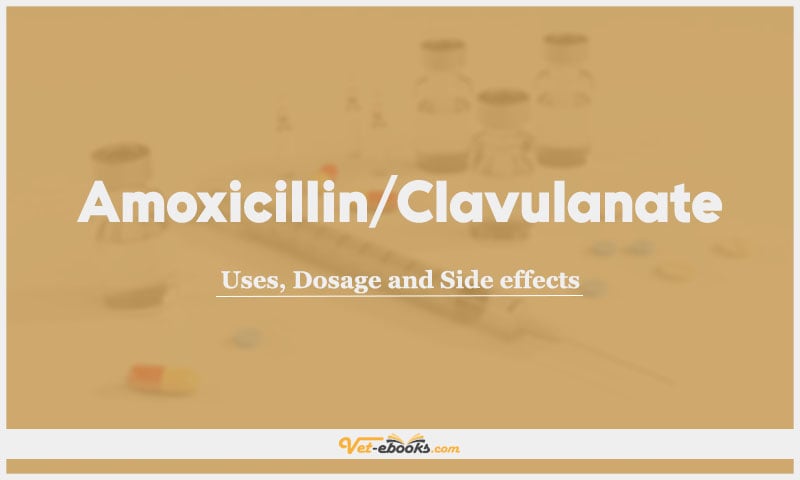 Amoxicillin/Clavulanate: Uses, Dosage and Side Effects