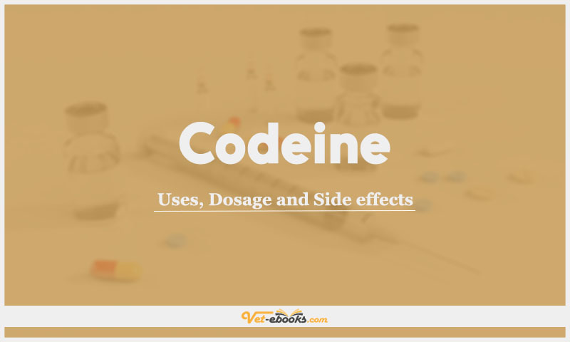 Codeine: Uses, Dosage and Side Effects