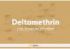 Deltamethrin: Uses, Dosage and Side Effects