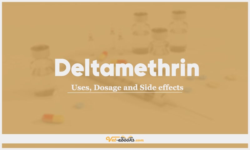 Deltamethrin: Uses, Dosage and Side Effects