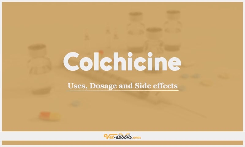 Colchicine: Uses, Dosage and Side Effects