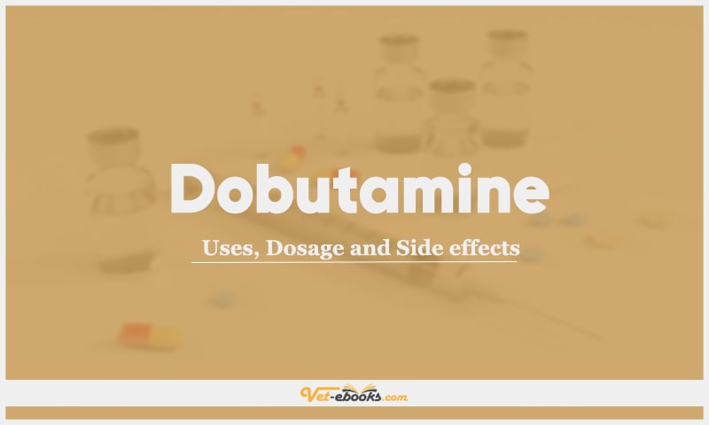 Dobutamine: Uses, Dosage and Side Effects