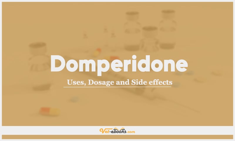 Domperidone: Uses, Dosage and Side Effects