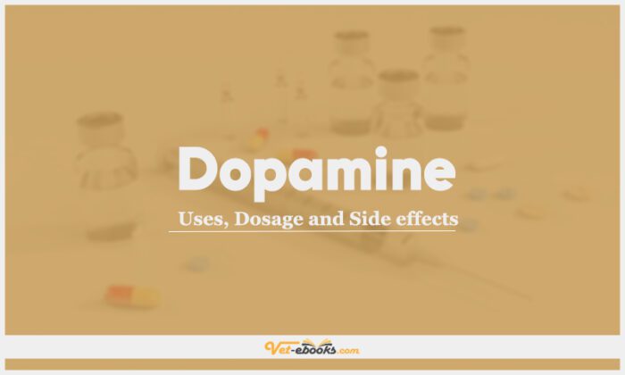 Dopamine Low Dose Vs High Dose Dopamine Dose For Dogs & Cats | Vet Drugs List