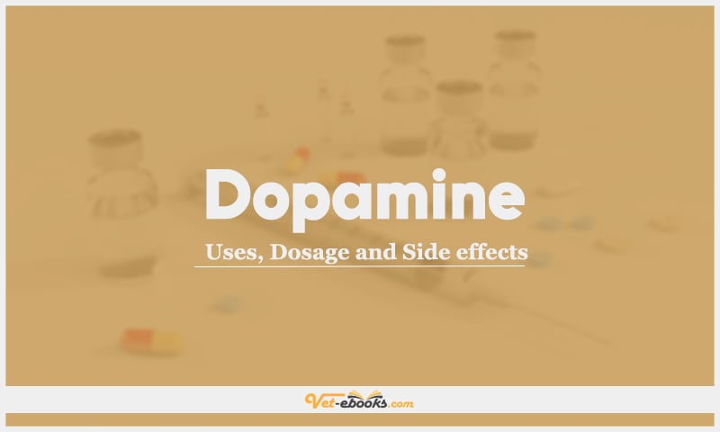 Dopamine: Uses, Dosage and Side Effects