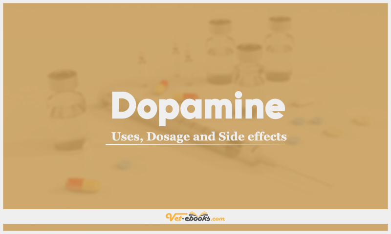 Dopamine: Uses, Dosage and Side Effects