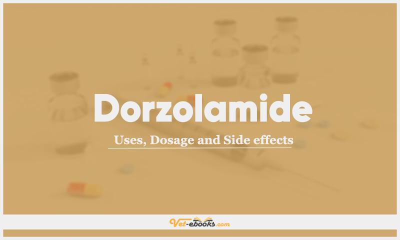 Dorzolamide: Uses, Dosage and Side Effects