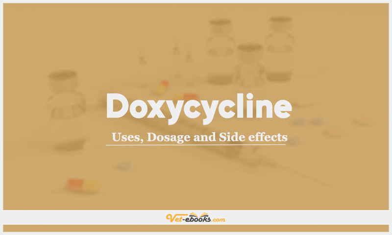 Doxycycline