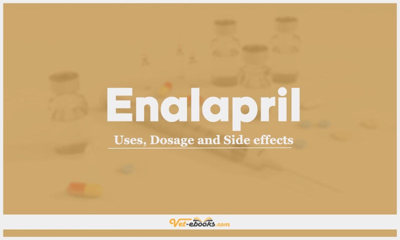 Enalapril: Uses, Dosage and Side Effects