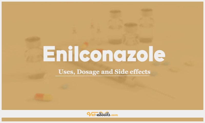 Enilconazole: Uses, Dosage and Side Effects
