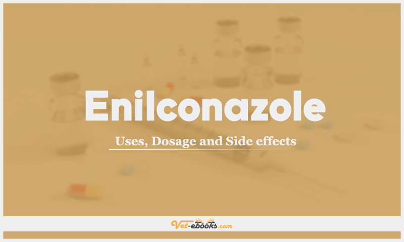 Enilconazole: Uses, Dosage and Side Effects