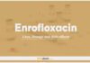 Enrofloxacin: Uses, Dosage and Side Effects