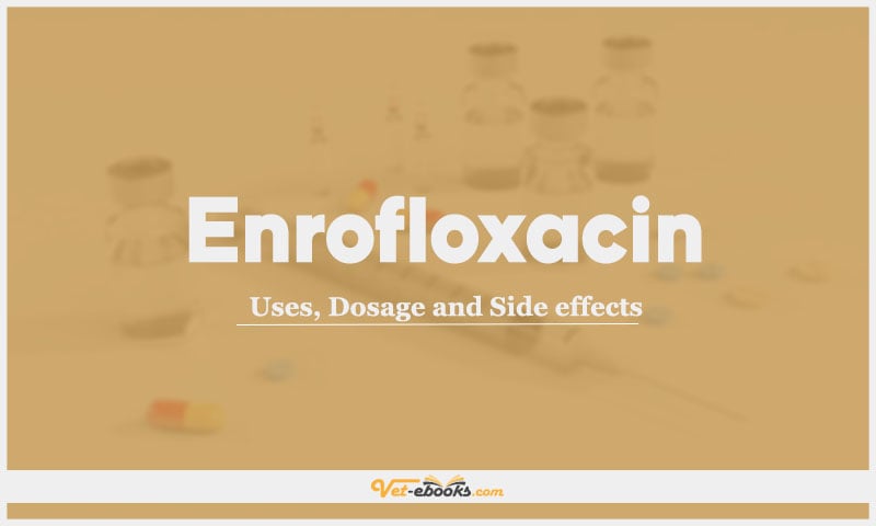 Enrofloxacin: Uses, Dosage and Side Effects