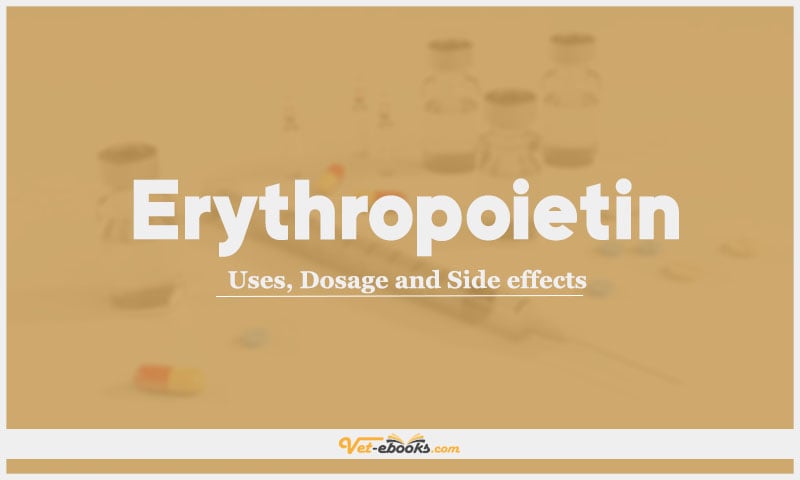 Erythropoietin: Uses, Dosage and Side Effects