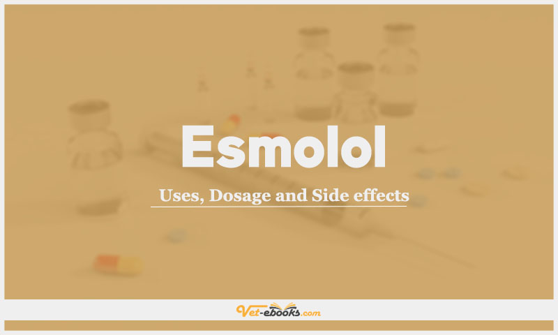 Esmolol: Uses, Dosage and Side Effects