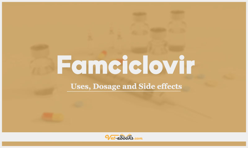 Famciclovir: Uses, Dosage and Side Effects