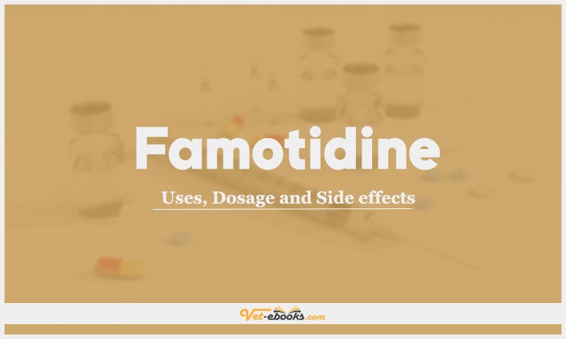 Famotidine: Uses, Dosage and Side Effects