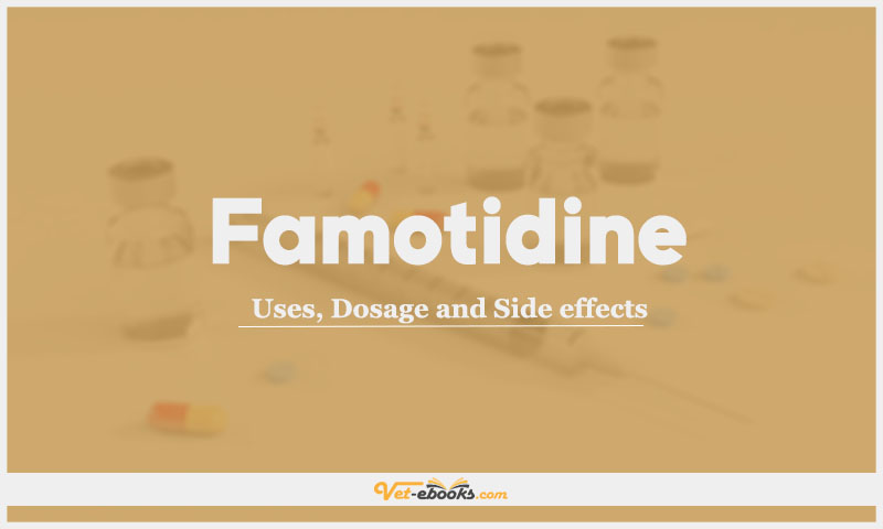Famotidine: Uses, Dosage and Side Effects