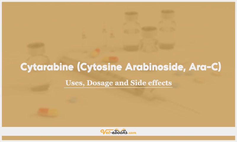 Cytarabine (Cytosine Arabinoside, Ara-C)