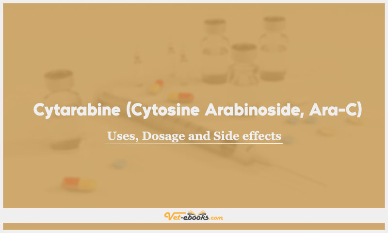 Cytarabine (Cytosine Arabinoside, Ara-C)