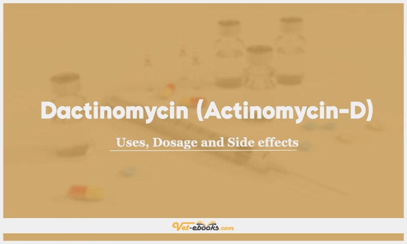 Dactinomycin (Actinomycin-D): Uses, Dosage and Side Effects