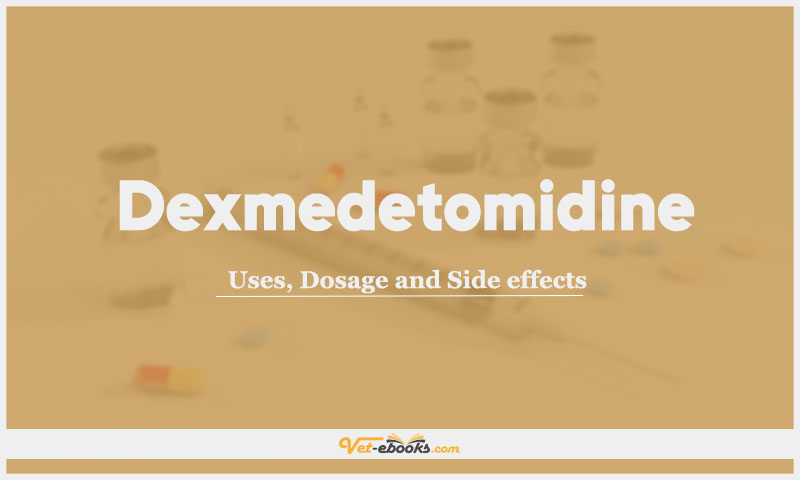 Dexmedetomidine: Uses, Dosage and Side Effects