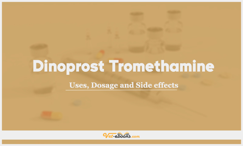Dinoprost Tromethamine: Uses, Dosage and Side Effects