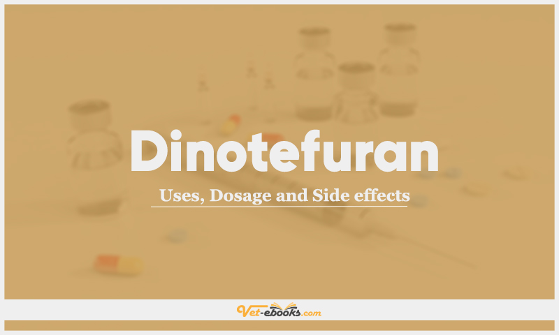 Dinotefuran: Uses, Dosage and Side Effects