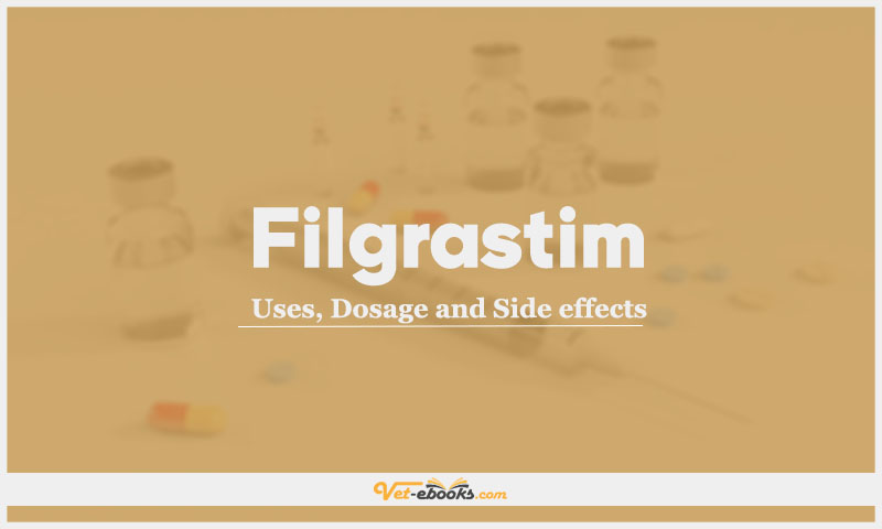 Filgrastim: Uses, Dosage and Side Effects