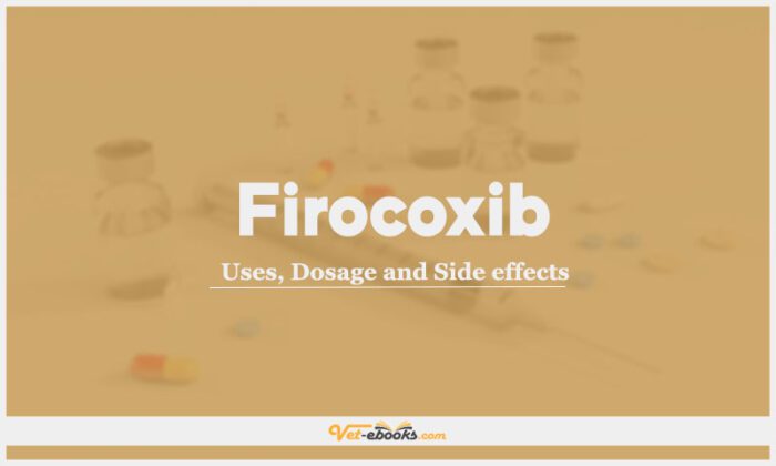 Firocoxib Dose For Dogs & Cats | Vet Drugs List