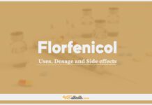 Florfenicol: Uses, Dosage and Side Effects