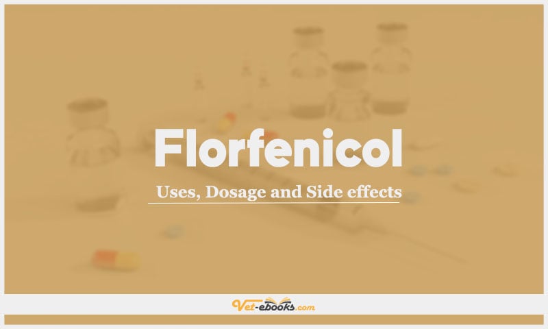 Florfenicol