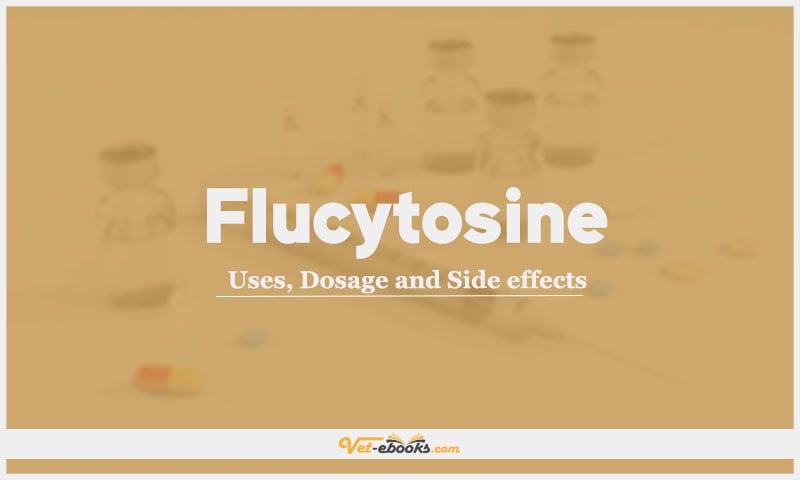Flucytosine: Uses, Dosage and Side Effects