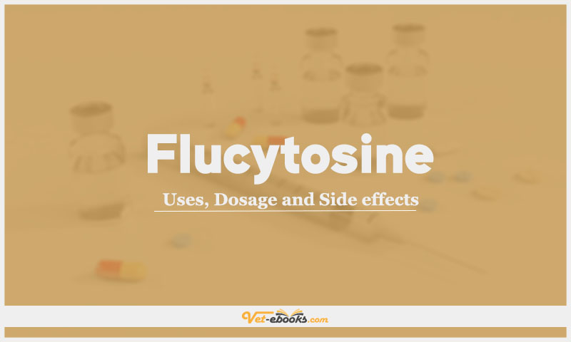 Flucytosine: Uses, Dosage and Side Effects