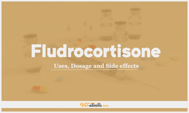 Fludrocortisone: Uses, Dosage and Side Effects
