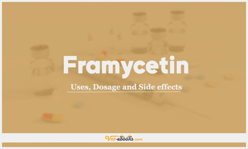 Framycetin: Uses, Dosage and Side Effects