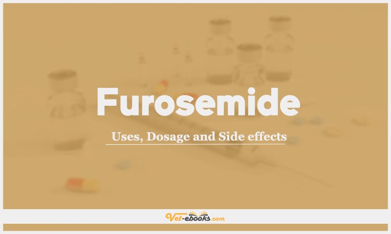 Furosemide: Uses, Dosage and Side Effects