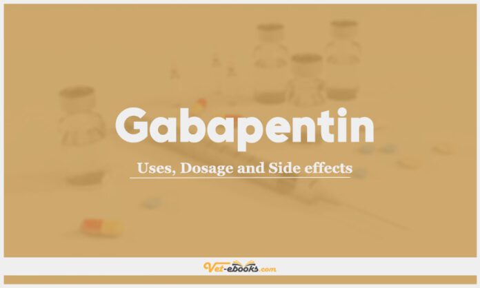 gabapentin drug class vet med