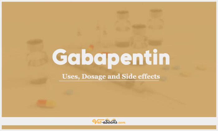 side effects in dogs using gabapentin