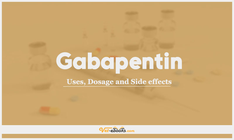 Gabapentin: Uses, Dosage and Side Effects