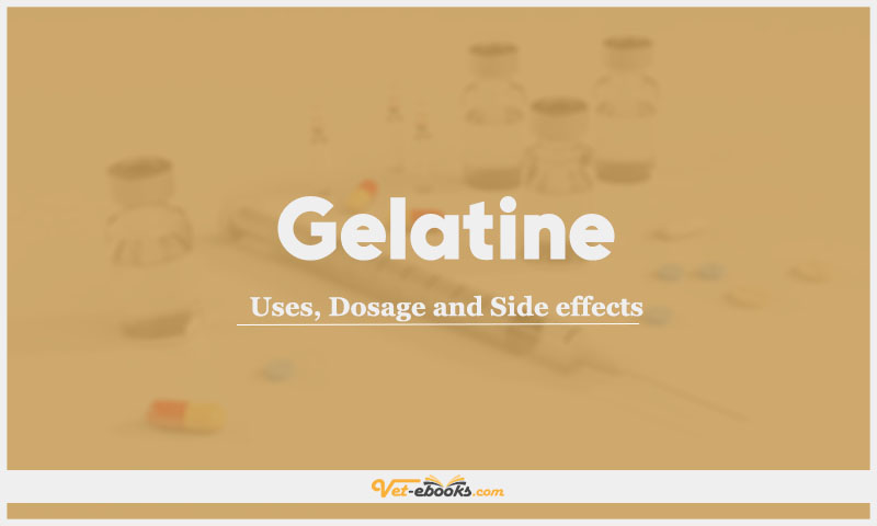 Gelatine: Uses, Dosage and Side Effects