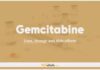 Gemcitabine in Dogs and Cats: Uses, Dosage and Side Effects